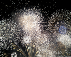 水郷祭の花火2012画像３