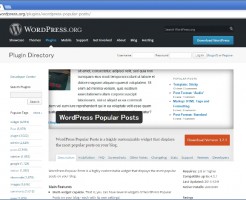 WordPress Popular Posts設置画像１