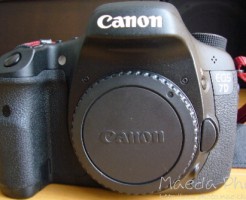Canon EOS 7D画像１