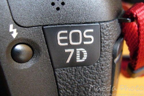 Canon EOS 7D画像４