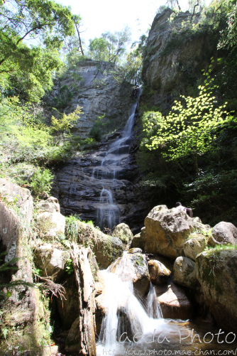 滝山公園2012画像１２