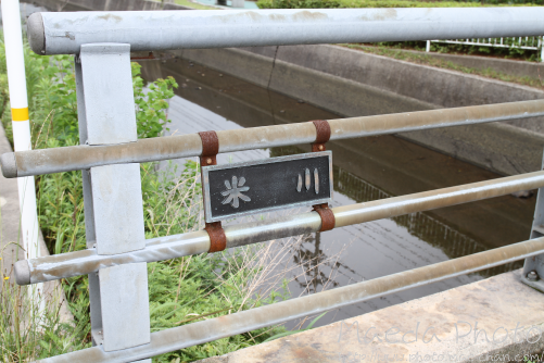 米子の米川2012画像１
