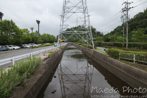 米子の米川2012画像２