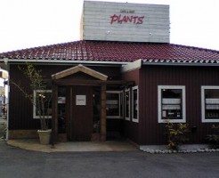 米子市のプランツ（CAFE REST PLANTS）画像１